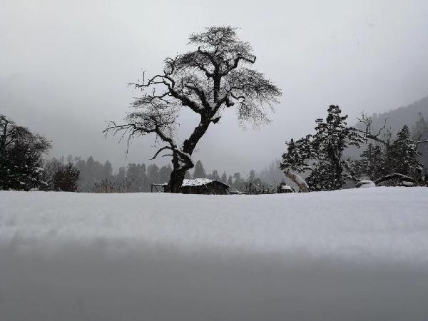 银河护卫队