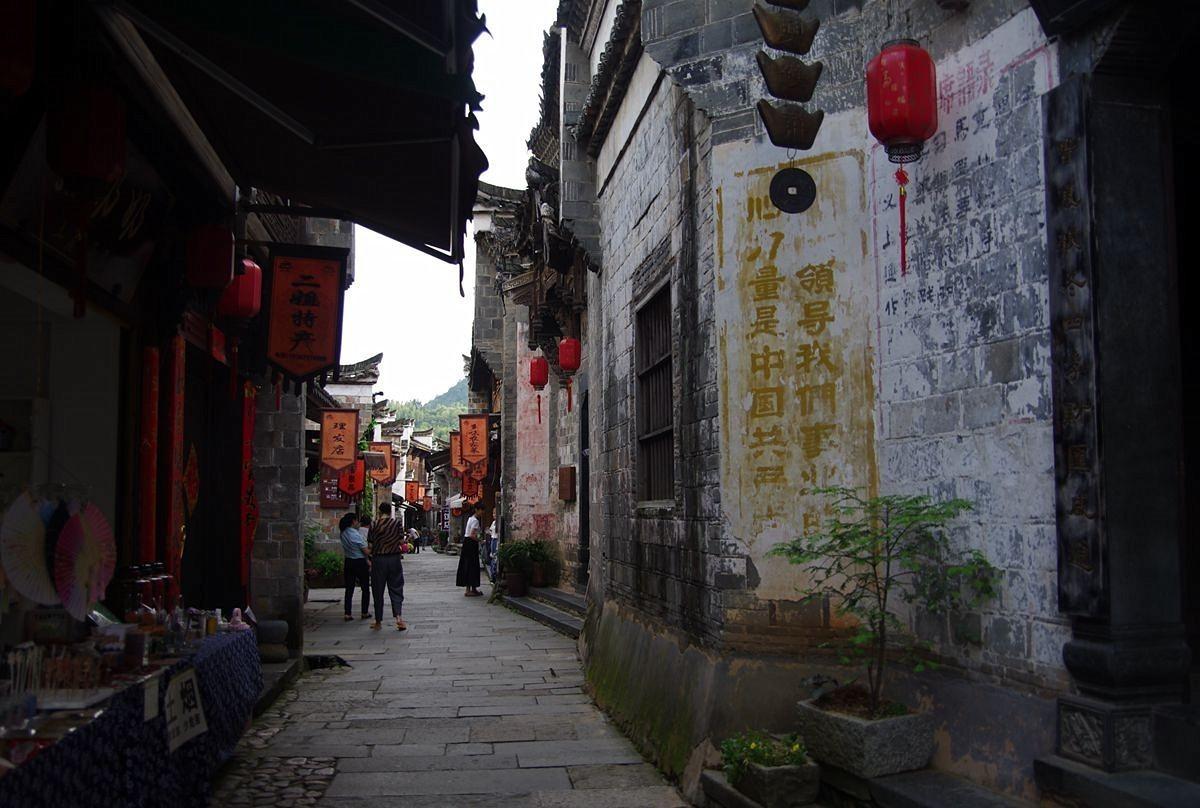 逃离棕榈树森林